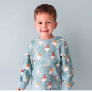 Posh Peanut Gnomey Long Sleeve Sweatshirt
7 years